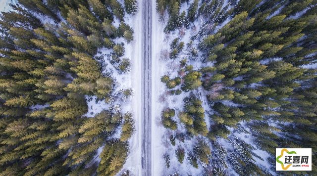 (阿尔托的冒险系列)阿尔托的冒险：一次跨越冰雪荒原的壮丽旅程与生存挑战