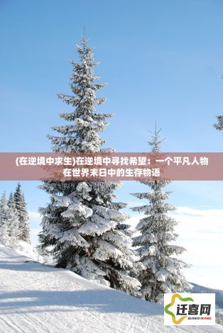 (在逆境中求生)在逆境中寻找希望：一个平凡人物在世界末日中的生存物语