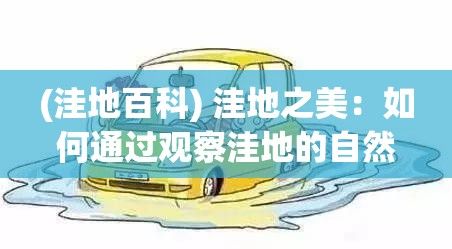 (洼地百科) 洼地之美：如何通过观察洼地的自然积水现象揭示地形与生态之间的微妙关系。