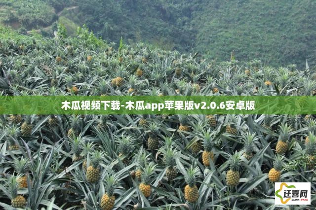 木瓜视频下载-木瓜app苹果版v2.0.6安卓版