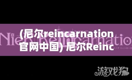 (尼尔reincarnation官网中国) 尼尔Reincarnation：重生与救赎之旅——探索复仇与宽恕之间的纠葛